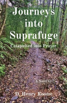bokomslag Journeys into Suprafuge