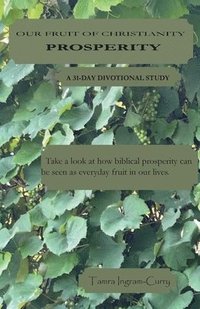 bokomslag Our Fruit of Christianity: Prosperity