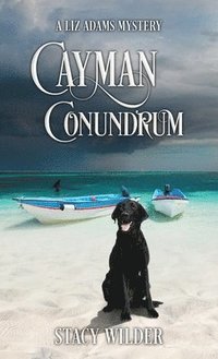 bokomslag Cayman Conundrum