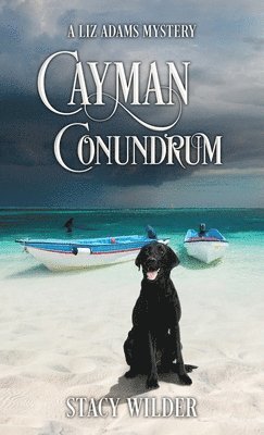 bokomslag Cayman Conundrum
