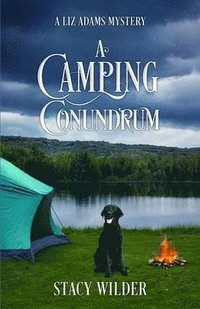 bokomslag Camping Conundrum