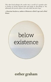 bokomslag Below Existence