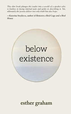 bokomslag Below Existence