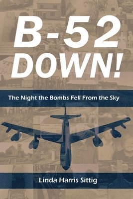 bokomslag B-52 Down