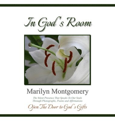 Marilyn Montgomery - In God's Room, Inbunden