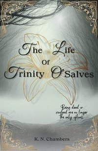bokomslag Life Of Trinity O'Salves