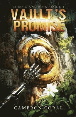 bokomslag Vault's Promise