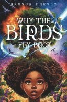 Why the Birds Fly Back