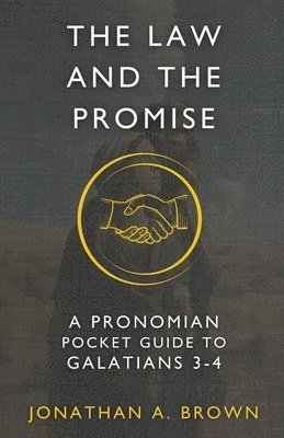 Law and the Promise