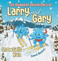 bokomslag The Raindrop Adventures of Larry and Gary