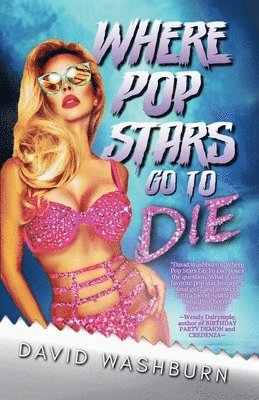 David Washburn - Where Pop Stars Go to Die, Häftad