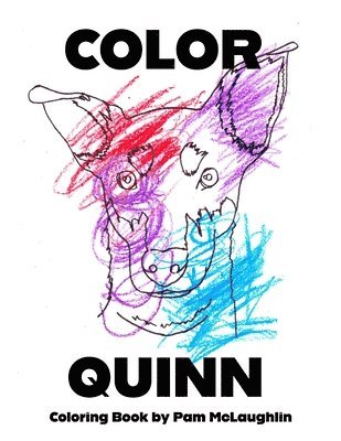 bokomslag Color Quinn