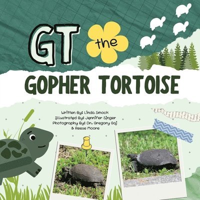 GT the Gopher Tortoise 1