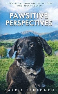 bokomslag Pawsitive Perspectives