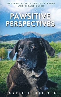 bokomslag Pawsitive Perspectives