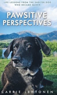 bokomslag Pawsitive Perspectives