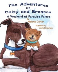 bokomslag The Adventures of Daisy and Bronson