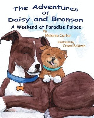 The Adventures of Daisy and Bronson 1