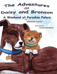 bokomslag The Adventures of Daisy and Bronson