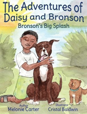 bokomslag The Adventures of Daisy and Bronson