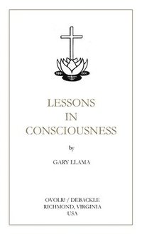 bokomslag Lessons in Consciousness