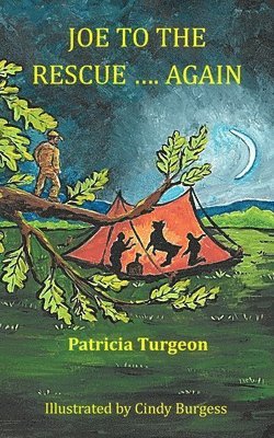 Joe to the Rescue ... Again