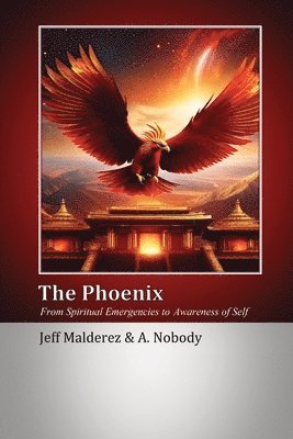 Jeff Malderez, A Nobody - Phoenix, Häftad