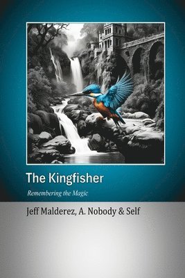 Jeff Malderez, A Nobody, Self - Kingfisher, Häftad
