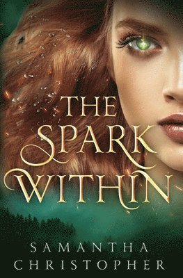 The Spark Within 1