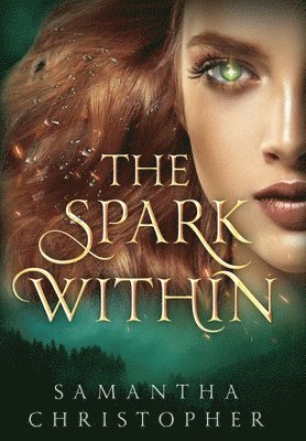 The Spark Within 1