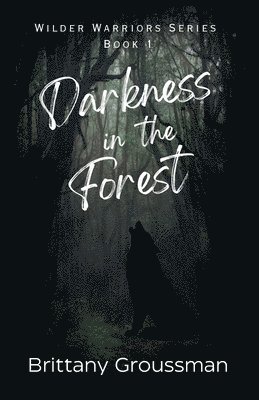 bokomslag Darkness in the Forest