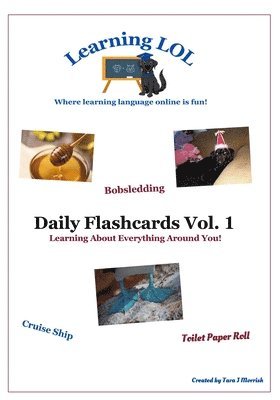 bokomslag Daily Flashcards Vol. 1