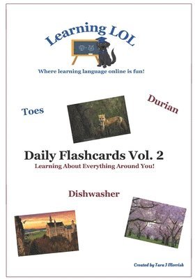 bokomslag Daily Flashcards Vol. 2