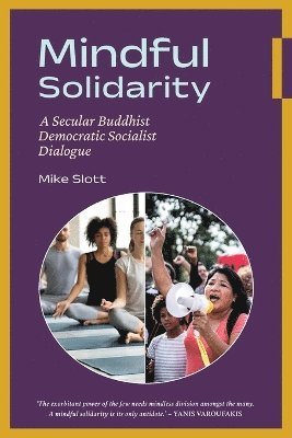 bokomslag Mindful Solidarity