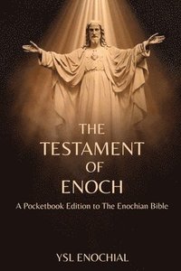 bokomslag The Testament of Enoch