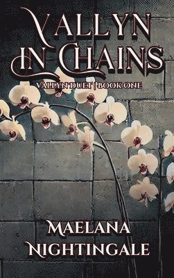 bokomslag Vallyn in Chains