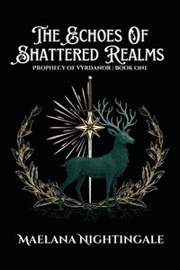 bokomslag Echoes of Shattered Realms