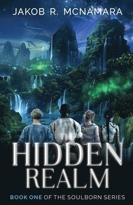 The Hidden Realm 1