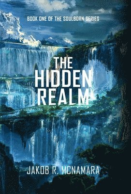 The Hidden Realm 1