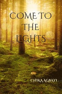 bokomslag Come to the Lights