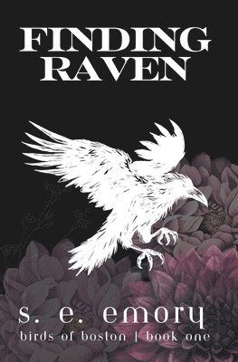 Finding Raven 1