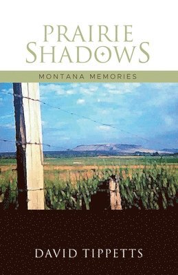 bokomslag Prairie Shadows