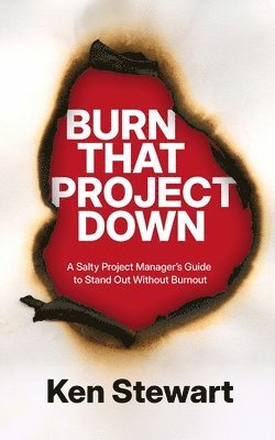 bokomslag Burn That Project Down