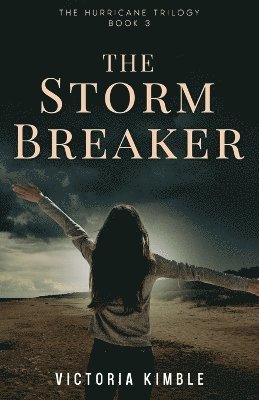 bokomslag Storm Breaker
