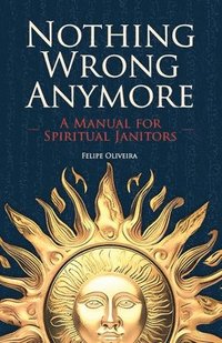 bokomslag Nothing Wrong Anymore: A Manual for Spiritual Janitors