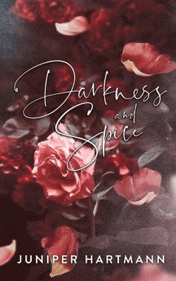 bokomslag Darkness and Spice