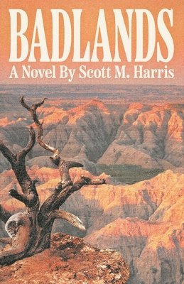 Badlands 1