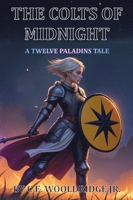 bokomslag Colts of Midnight