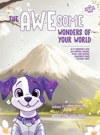 bokomslag AWEsome Wonders of Your World