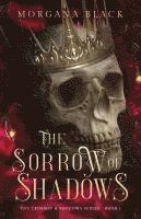 bokomslag Sorrow of Shadows